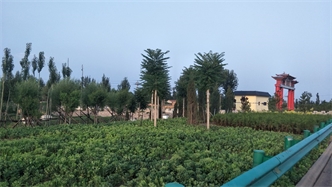 標(biāo)題：張家口經(jīng)開區(qū)腰站堡飲用水源地生態(tài)涵養(yǎng)綠化
瀏覽次數(shù)：2929
發(fā)表時(shí)間：2020-10-16