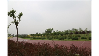 標(biāo)題：大青山南坡生態(tài)修復(fù)
瀏覽次數(shù)：2410
發(fā)表時(shí)間：2020-10-16