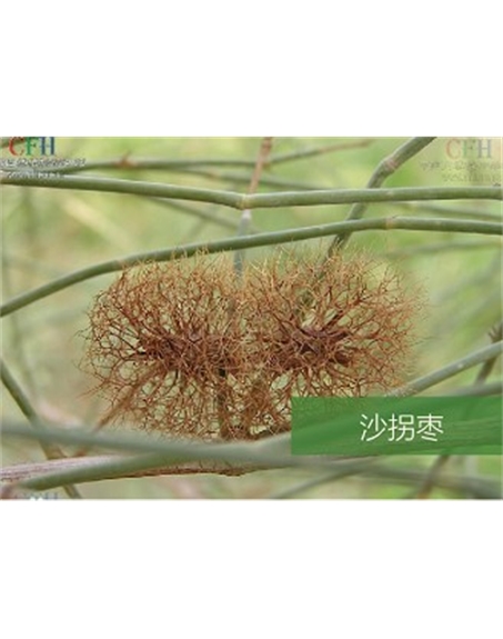 標(biāo)題：名貴樹種
瀏覽次數(shù)：1842
發(fā)表時(shí)間：2020-10-17