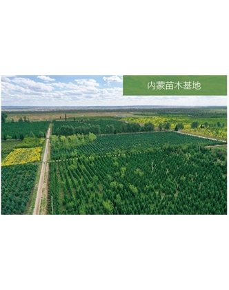 標(biāo)題：苗木基地
瀏覽次數(shù)：2278
發(fā)表時(shí)間：2020-10-17