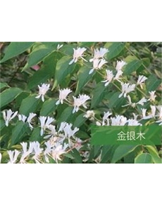 標(biāo)題：?jiǎn)坦嗄?瀏覽次數(shù)：1726
發(fā)表時(shí)間：2020-10-17