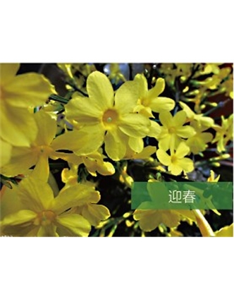 標(biāo)題：?jiǎn)坦嗄?瀏覽次數(shù)：1653
發(fā)表時(shí)間：2020-10-17