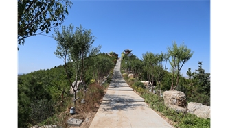標(biāo)題：張家口太子山山體修復(fù)
瀏覽次數(shù)：18956
發(fā)表時(shí)間：2020-11-12